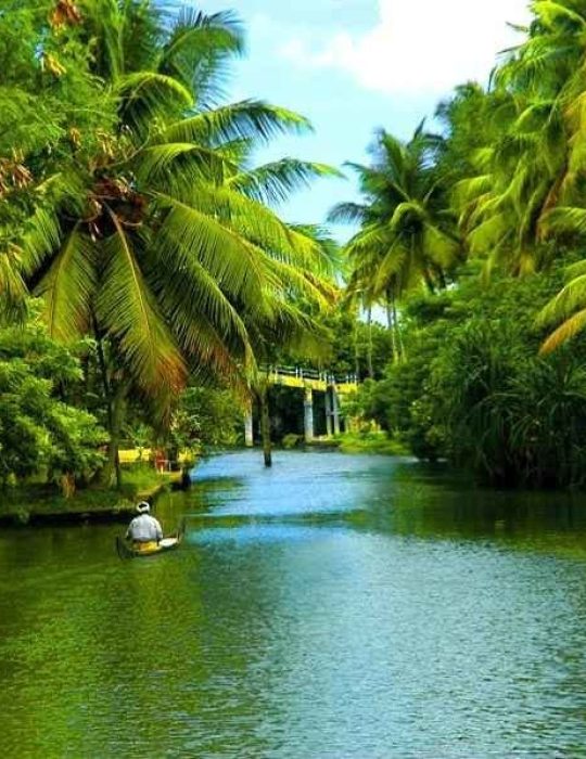 1650295522_back_water_of_kerala_soul_of_kerala